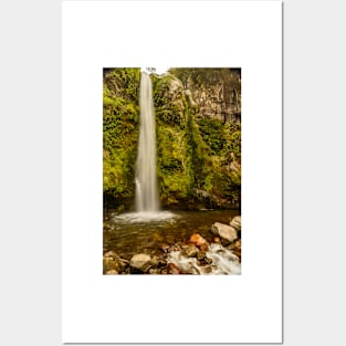 Dawson Falls 1 Posters and Art